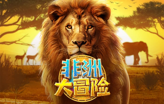 bc体育网